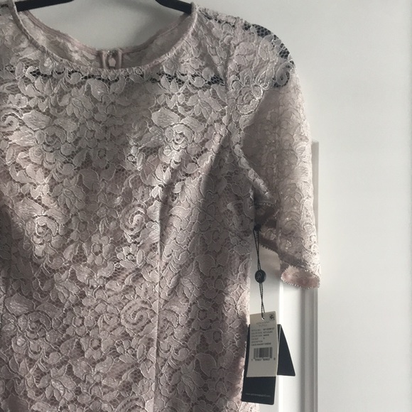 NWT Adrianna Papell icy lilac lace short dress 8 - Picture 2 of 7